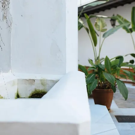 Apartment Singular Corral De San Jose